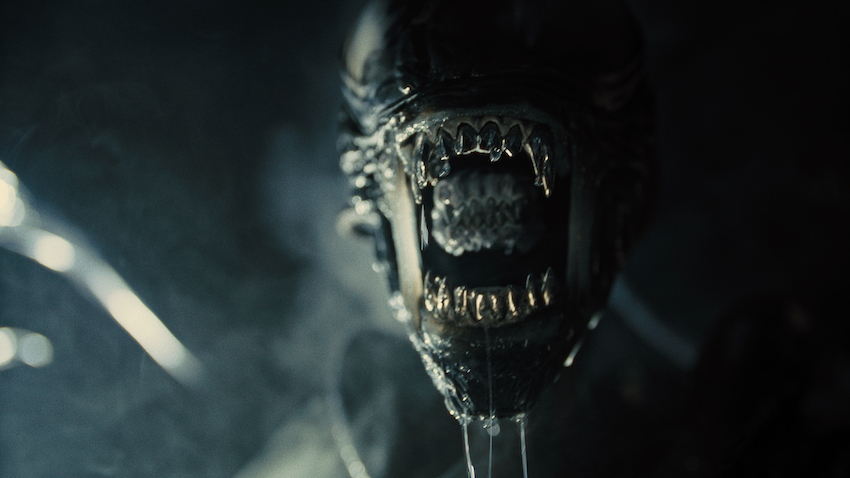 New Alien movie