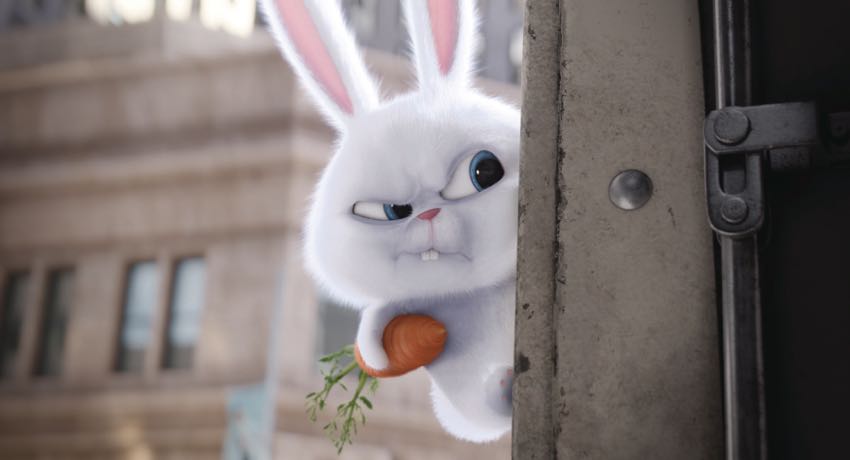 Secret Life of Pets images 1