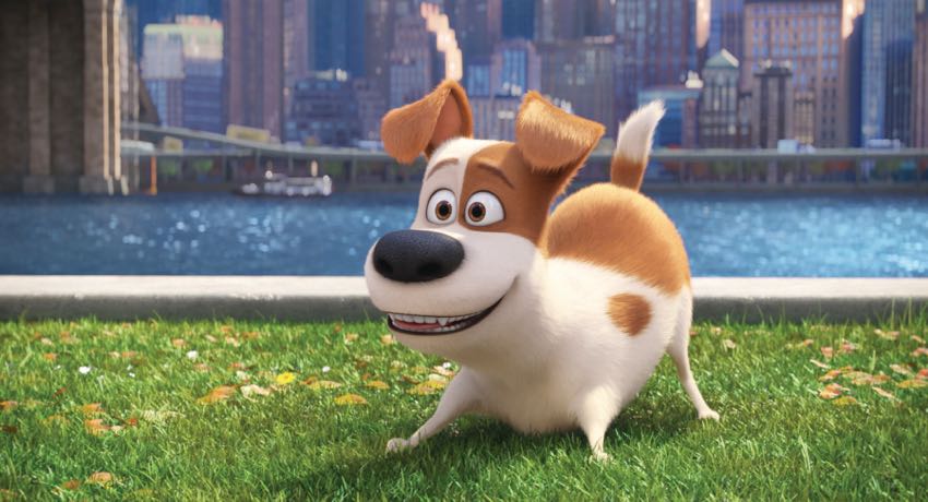 Secret Life of Pets images 3