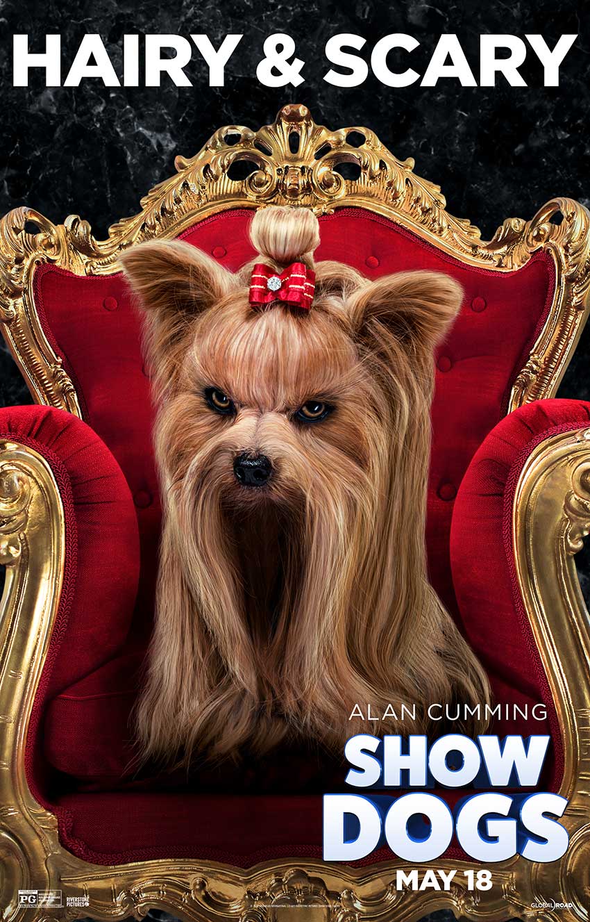 Show Dogs Dante