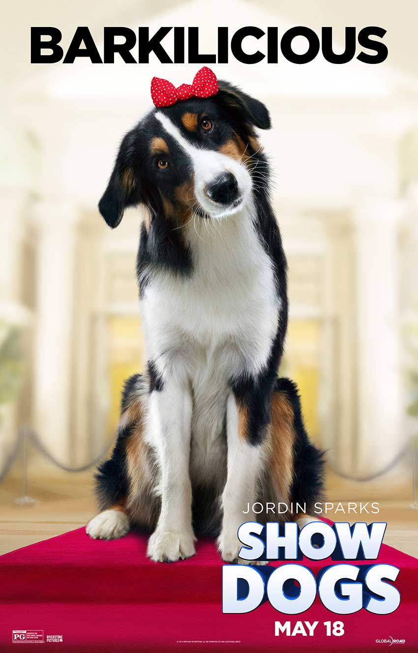 ShowDogs Daisy