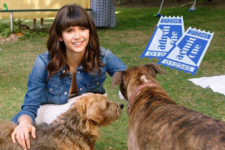 Dog Days Nina Dobrev
