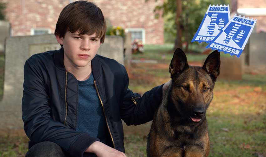 Max Movie giveaway