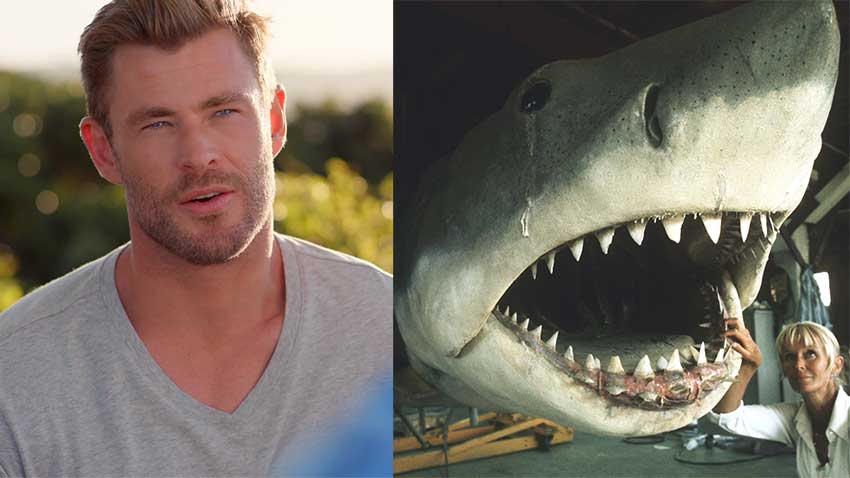 Shark Expert Valerie Taylor NatGeo