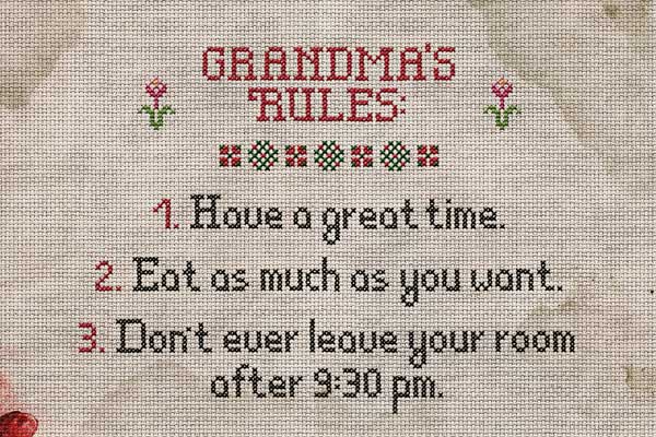 The Visit movie poster image