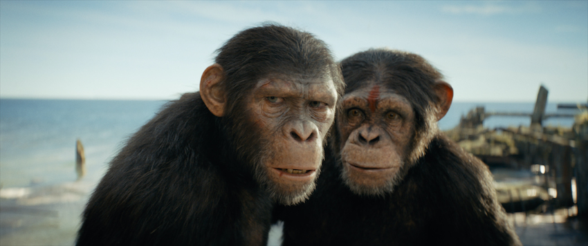 Kingdom of the Planet of the Apes exclusive look