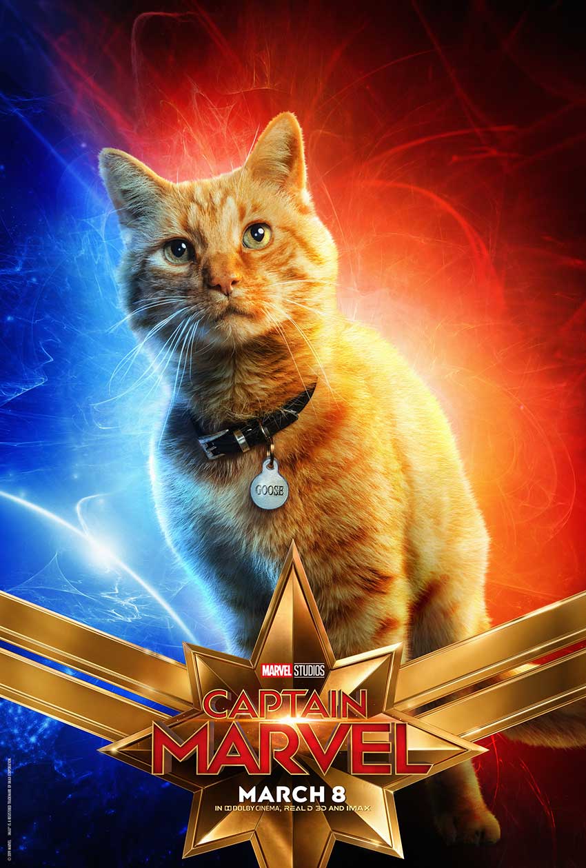 Captain Marvel Goose Cat poster