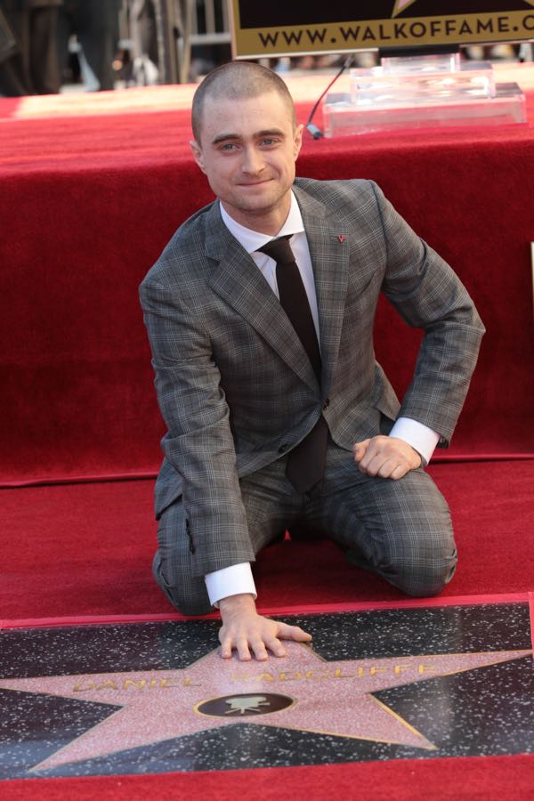 Daniel Radcliffe Hollywood Star 5