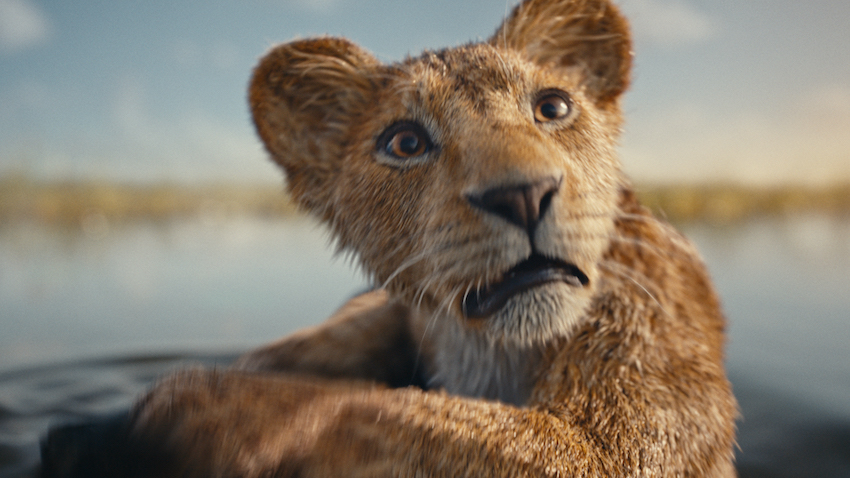 Mufasa The Lion King image